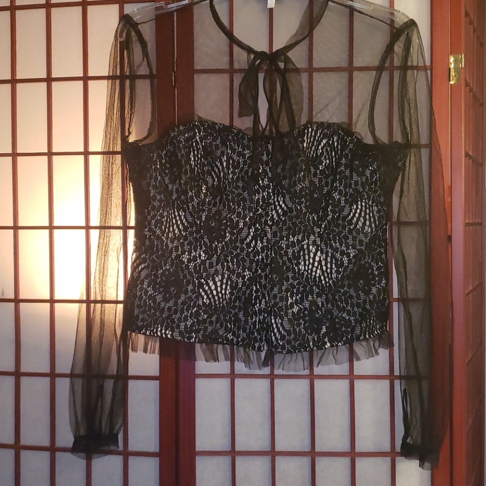 Corset Top w Sheer & Pussy Bow XL NWOT